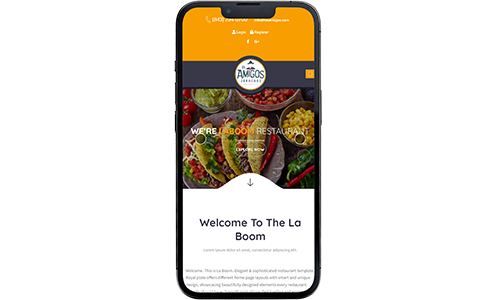 Los Amigos Website Design