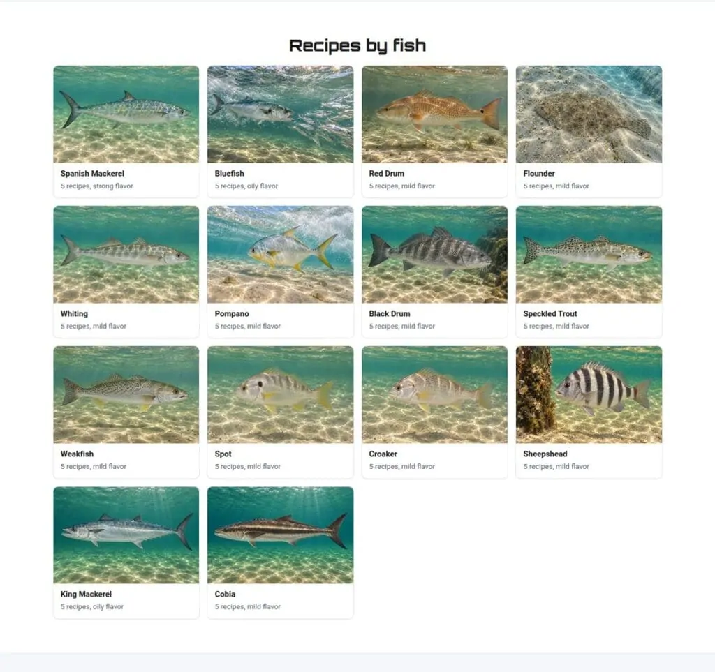 FishOS recipes grid with a photo and recipe count for each fish