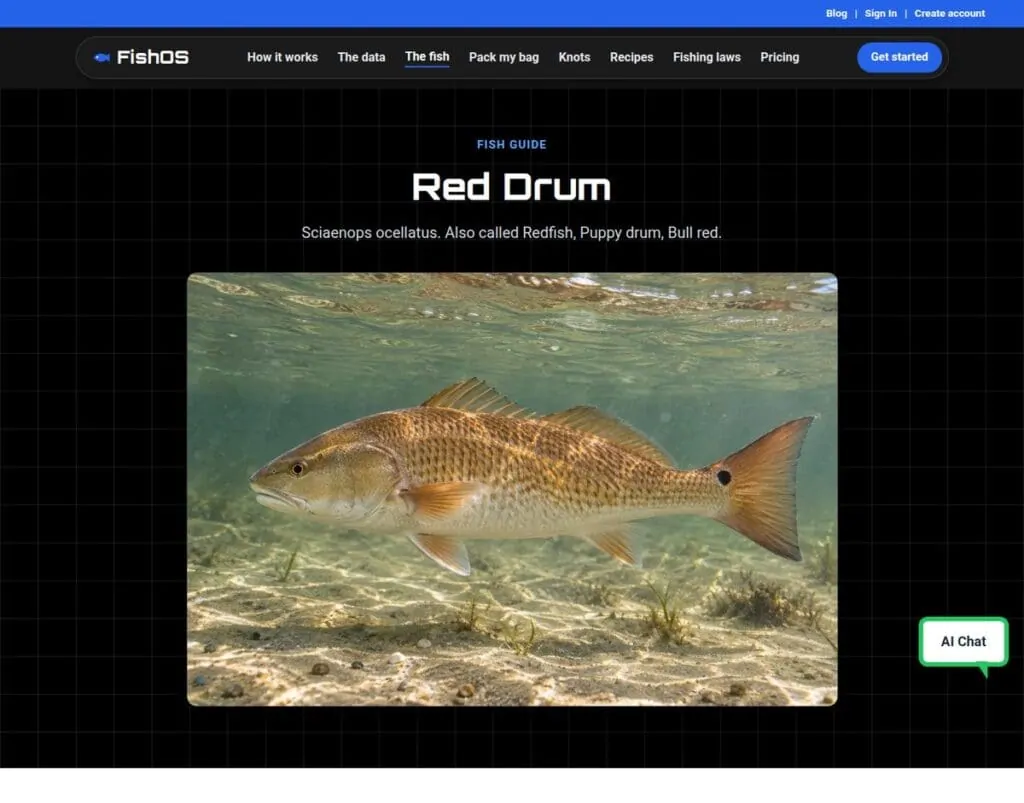 FishOS Red Drum species guide with an underwater photo of a red drum
