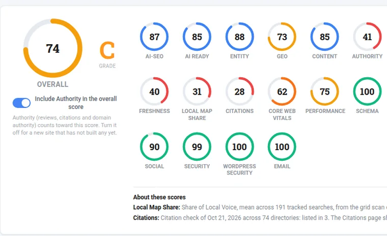 SEOScanPRO site audit: overall score, grade and every scored area